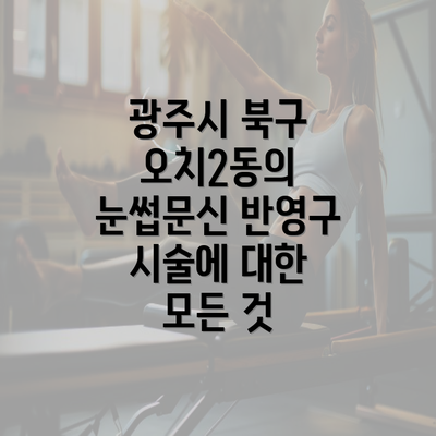 광주시 북구 오치2동의 눈썹문신 반영구 시술에 대한 모든 것