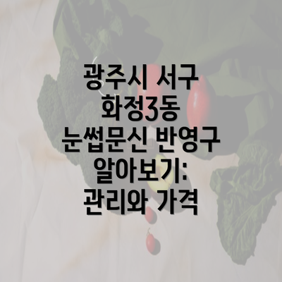 광주시 서구 화정3동 눈썹문신 반영구 알아보기: 관리와 가격