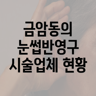 금암동의 눈썹반영구 시술업체 현황