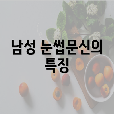 남성 눈썹문신의 특징