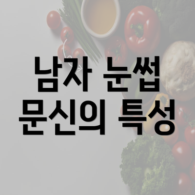 남자 눈썹 문신의 특성