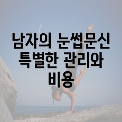 남자의 눈썹문신 특별한 관리와 비용