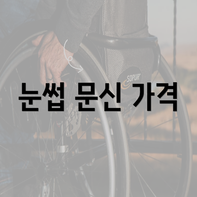 눈썹 문신 가격