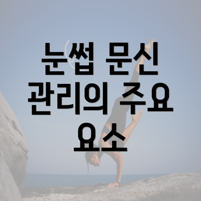 눈썹 문신 관리의 주요 요소