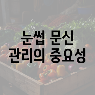 눈썹 문신 관리의 중요성