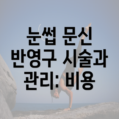 눈썹 문신 반영구 시술과 관리: 비용