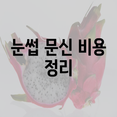 눈썹 문신 비용 정리