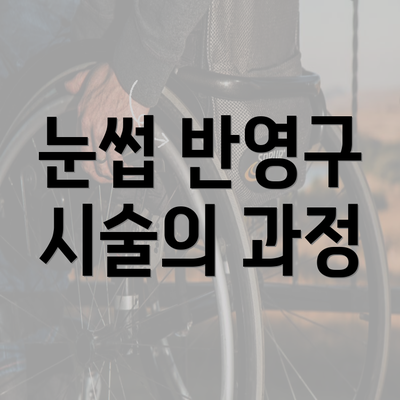 눈썹 반영구 시술의 과정