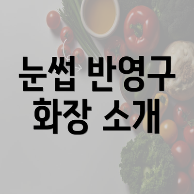 눈썹 반영구 화장 소개