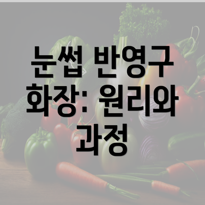 눈썹 반영구 화장: 원리와 과정