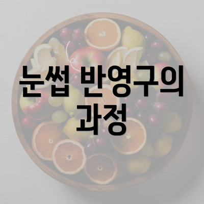 눈썹 반영구의 과정