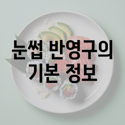 눈썹 반영구의 기본 정보