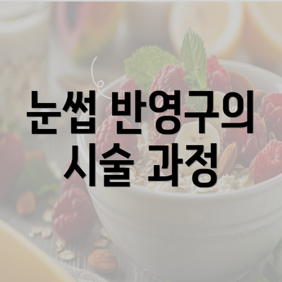 눈썹 반영구의 시술 과정