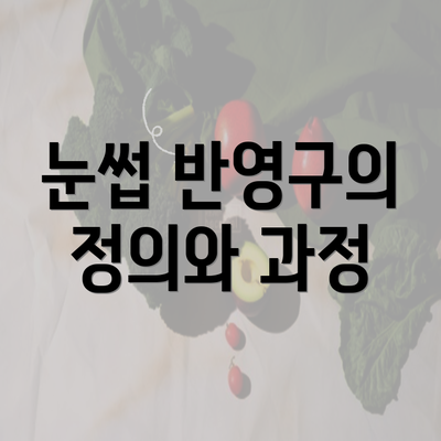 눈썹 반영구의 정의와 과정