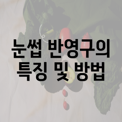 눈썹 반영구의 특징 및 방법