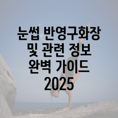 눈썹 반영구화장 및 관련 정보 완벽 가이드 2025