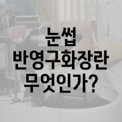 눈썹 반영구화장란 무엇인가?