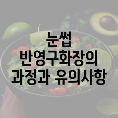 눈썹 반영구화장의 과정과 유의사항