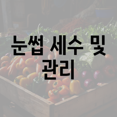 눈썹 세수 및 관리