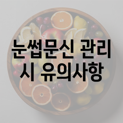 눈썹문신 관리 시 유의사항