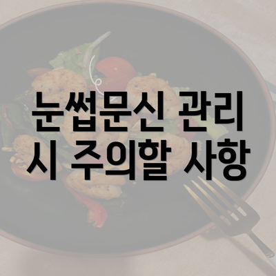 눈썹문신 관리 시 주의할 사항