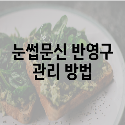 눈썹문신 반영구 관리 방법