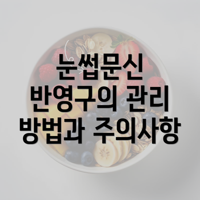 눈썹문신 반영구의 관리 방법과 주의사항