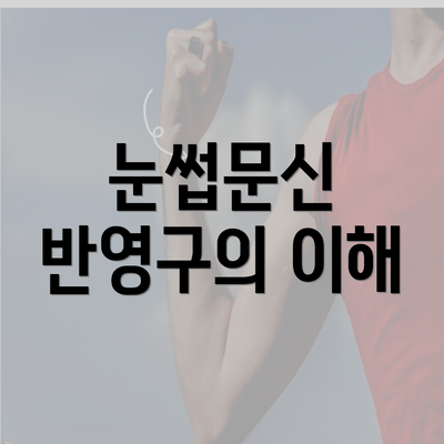 눈썹문신 반영구의 이해