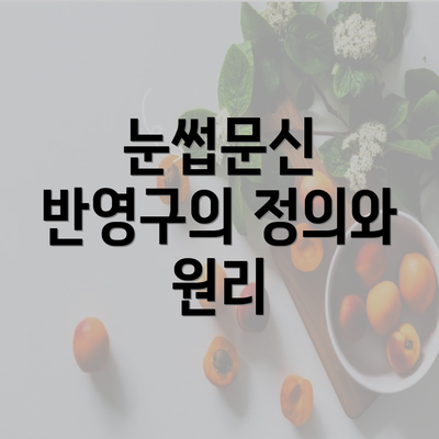 눈썹문신 반영구의 정의와 원리