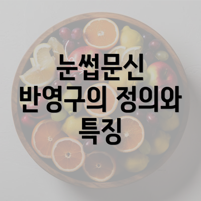 눈썹문신 반영구의 정의와 특징