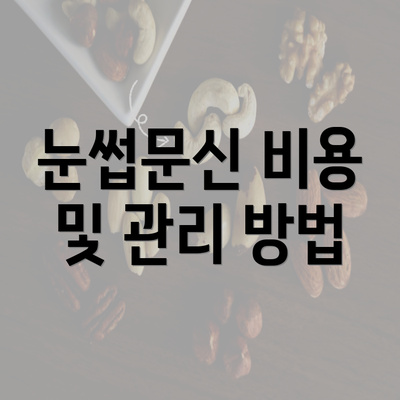 눈썹문신 비용 및 관리 방법