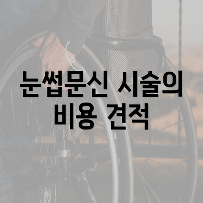 눈썹문신 시술의 비용 견적