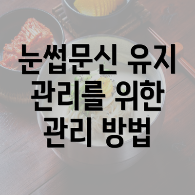 눈썹문신 유지 관리를 위한 관리 방법