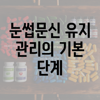 눈썹문신 유지 관리의 기본 단계