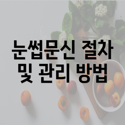 눈썹문신 절차 및 관리 방법