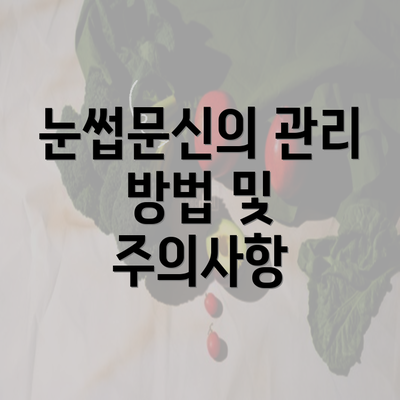 눈썹문신의 관리 방법 및 주의사항