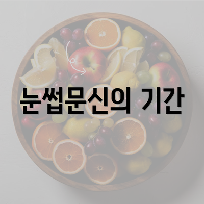 눈썹문신의 기간