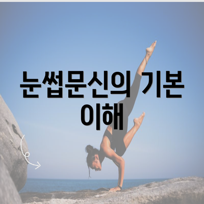 눈썹문신의 기본 이해