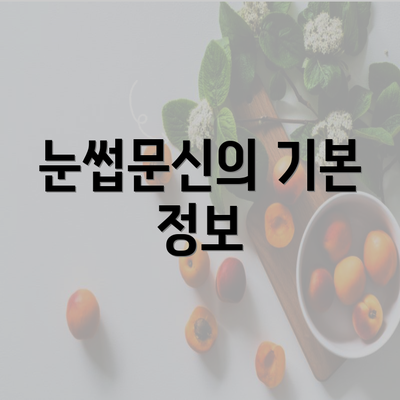 눈썹문신의 기본 정보