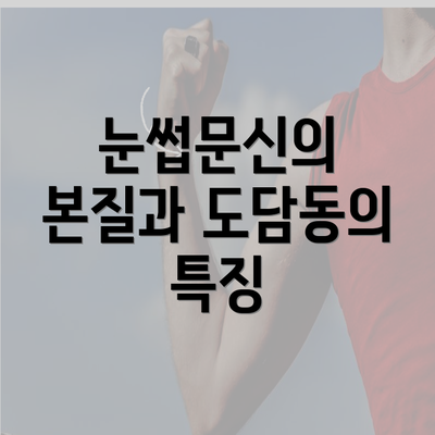 눈썹문신의 본질과 도담동의 특징