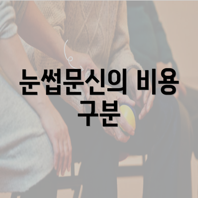 눈썹문신의 비용 구분