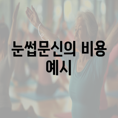 눈썹문신의 비용 예시