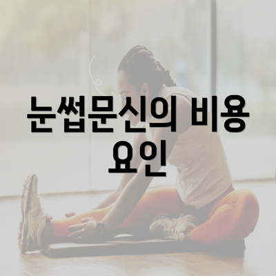 눈썹문신의 비용 요인