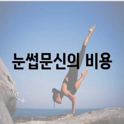 눈썹문신의 비용