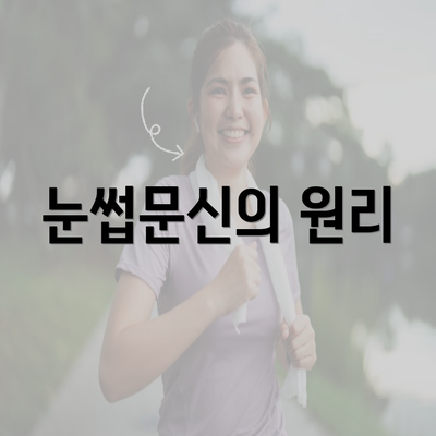 눈썹문신의 원리