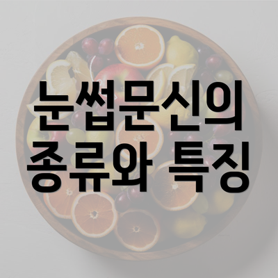 눈썹문신의 종류와 특징