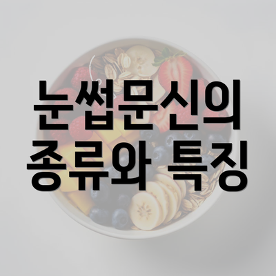 눈썹문신의 종류와 특징