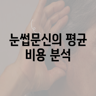 눈썹문신의 평균 비용 분석