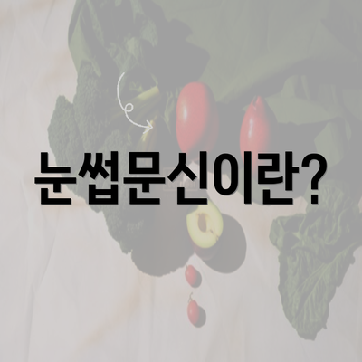 눈썹문신이란?