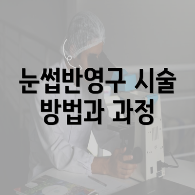 눈썹반영구 시술 방법과 과정